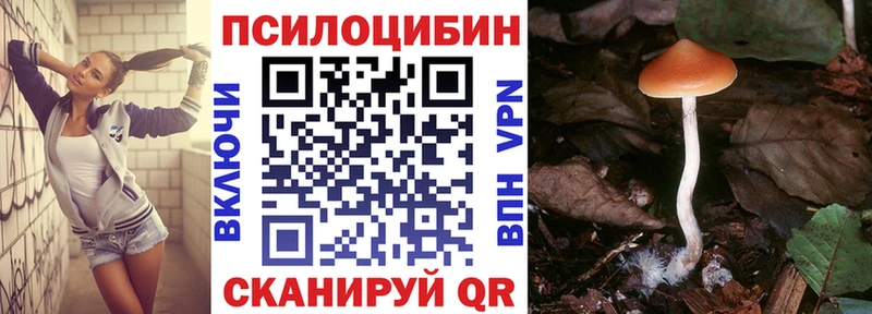 купить наркотики цена  Пересвет  Псилоцибиновые грибы Magic Shrooms 